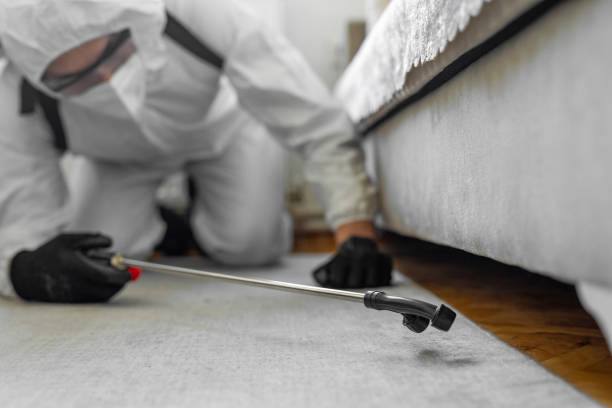 Professional Termite Control technician working in Rapid City, SD