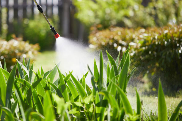 24/7 Emergency Termite Control experts in Rapid City, SD