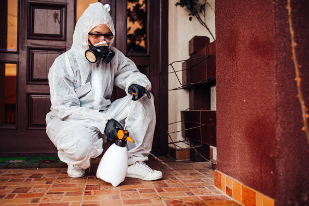 Reliable Termite Control contractor in Rapid City, SD by Nex Pest Control